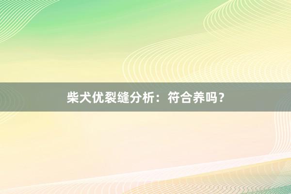 柴犬优裂缝分析：符合养吗？